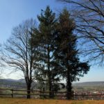 Der Pretzfelder Keller kurz vor der Eröffnung am Osterwochenende